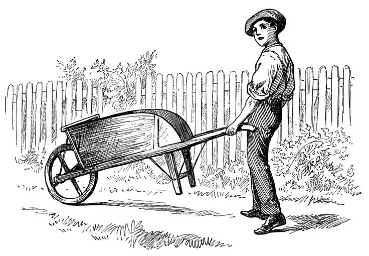 Vintage line-drawing of a young man holding up a wheelbarrow